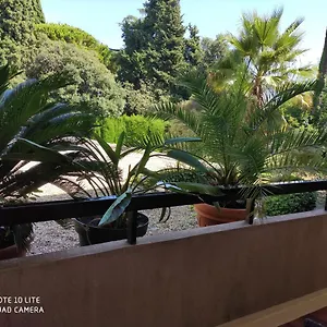 Appartement Les Palmiers France